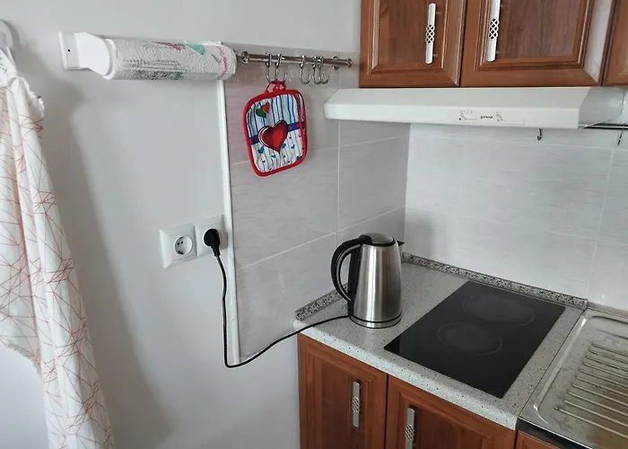 Milana-2 Sea View * ביאלה