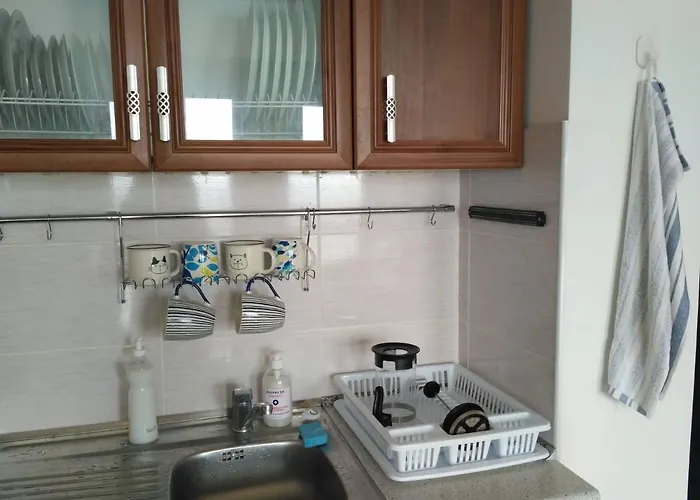 公寓 Milana-2 Sea View