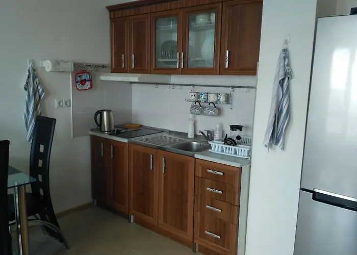 公寓 Milana-2 Sea View